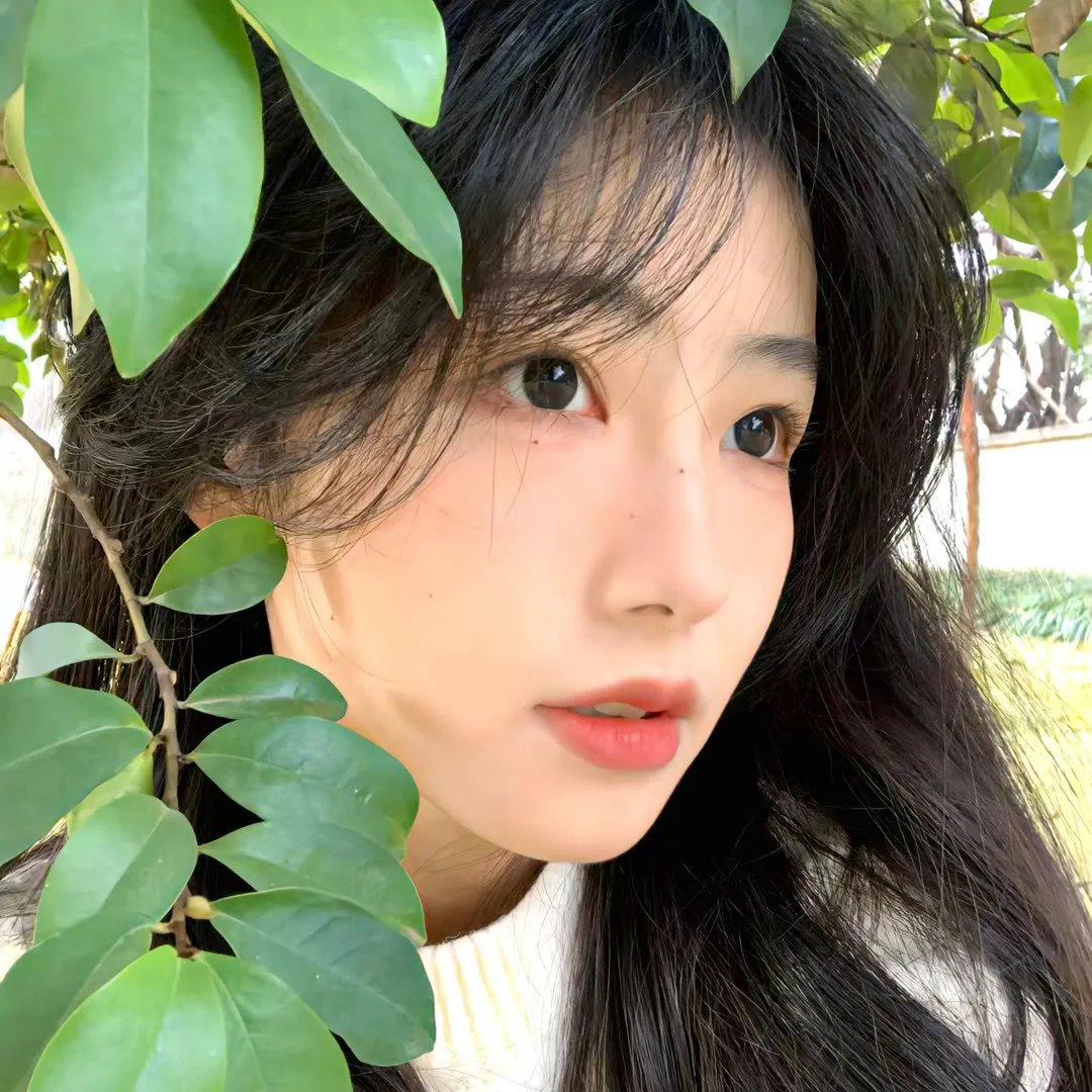 滑稽秀
